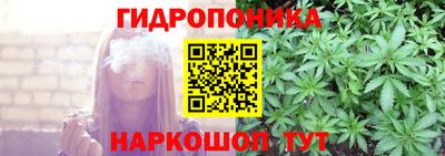 стаф Краснодар