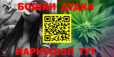 стаф Краснодар